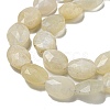 Natural Rainbow Moonstone Beads Strands G-P544-D03-01-4