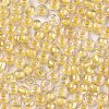 8/0 Glass Seed Beads X-SEED-A015-3mm-2202-2