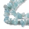 Natural Aquamarine Chips Beads Strands X-G-D0002-A02-4