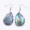 Abalone Shell/Paua Shell Dangle Earrings EJEW-P148-03-1