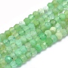 Natural Chrysoprase Beads Strands G-O172-06-1