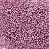 12/0 Glass Seed Beads SEED-A017-2mm-1110-2