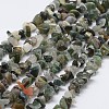 Natural Indian Agate Beads Strands G-F328-12-1