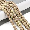 Natural Rainbow Alashan Agate Beads Strands G-NH0022-A05-02-2