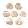 Natural Trochus Shell Carved Beads SHEL-P017-08B-1