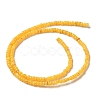 Natural Freshwater Shell Beads Strands SHEL-P017-01B-06-2