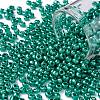 8/0 Glass Seed Beads SEED-A017-3mm-1118-1