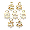Alloy Charms X-PALLOY-S132-084-1