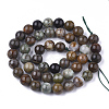 Natural Serpentine Beads Strands G-S333-10mm-015-2