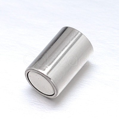 Tarnish Resistant 304 Stainless Steel Magnetic Clasps with Glue-in Ends STAS-M200-A-01-1