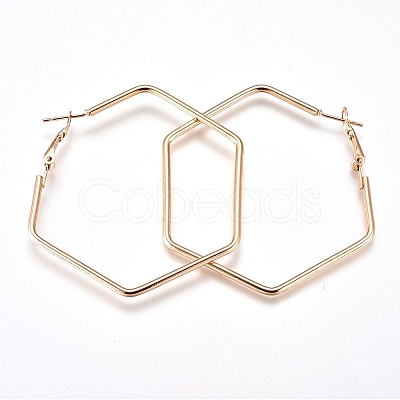 Iron Hoop Earrings EJEW-TAC0009-08G-1