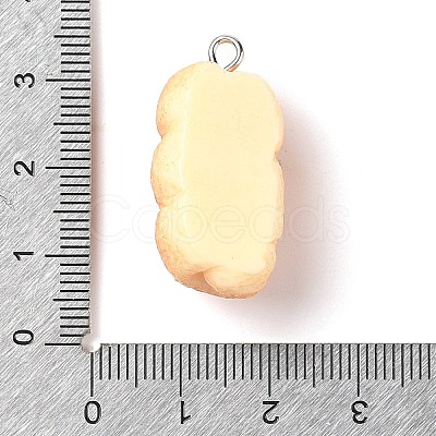 Resin Imitation Food Pendants FIND-U001-02L-1