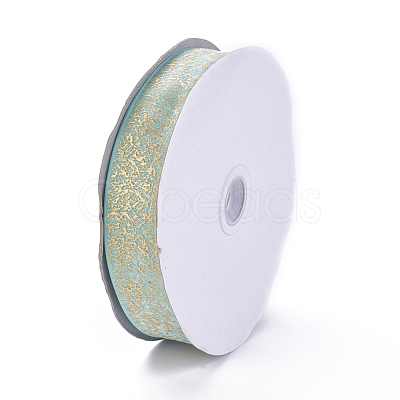 Nylon Organza Ribbon SRIB-I004-03G-1