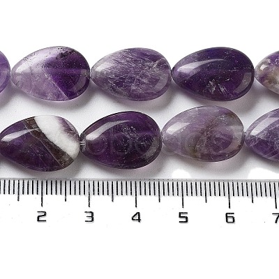 Natural Amethyst Beads Strands G-P528-L05-01-1