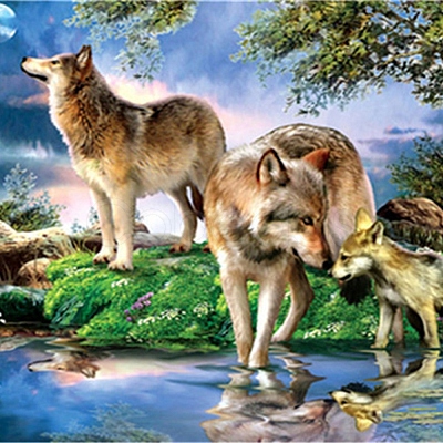 DIY Wolf & Scenery Diamond Painting Kits DIAM-PW0001-252F-1