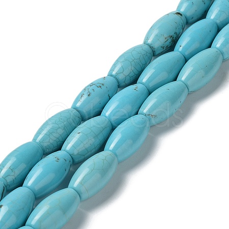Natural Howlite Beads Strands G-E604-I01-1
