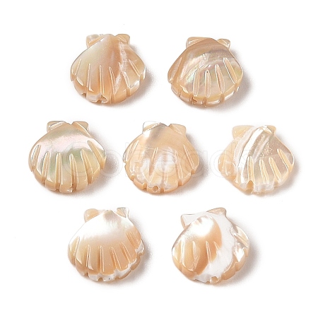 Natural Trochus Shell Carved Beads SHEL-P017-08B-1