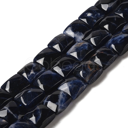 Natural Sodalite Beads Strands G-C109-A08-02-1