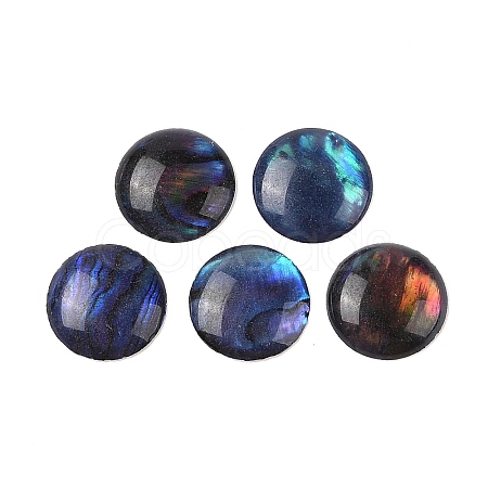 Natural Abalone Shell/Paua Shell Resin Cabochons SSHEL-K003-10MM-03-1