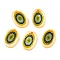 Natural Freshwater Shell Double Face Printed Oval Charms, Flower, 14.5x10x2.3mm, Hole: 1.6mm