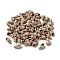 Acrylic Beads, Shell Shape, Coconut Brown, 10.5x6x5mm, Hole: 1mm