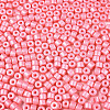 Baking Paint Pearlized Glass Seed Beads SEED-T008-03I-3