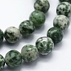 Natural Green Spot Jasper Beads Strands G-I199-30-10mm-3