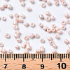 Glass Seed Beads SEED-S060-A-F407-5