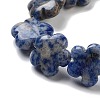 Natural Blue Spot Jasper Beads Strands G-F769-D01-01-4