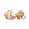 Natural Trochid Shell/Trochus Shell Beads SSHEL-N003-145B-A02-4