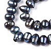 Natural Cultured Freshwater Pearl Beads Strands PEAR-N013-05L-3