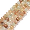 Natural Gemstone Beads Strands G-E571-09A-1