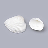 Natural Ark Shell Beads SSHEL-S258-14-4