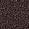 Baking Paint Glass Seed Beads SEED-US0003-2mm-K18-2