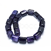 Natural Agate Beads Strands G-L551D-13-3