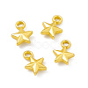 Rack Plating Alloy Charms FIND-G045-21MG-3