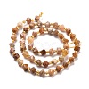 Natural Fossil Coral Beads Strands G-P463-48-3
