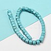 Dyed Synthetic Turquoise Beads Strands G-G075-B02-02-3