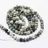 Natural Tree Agate Beads Strands X-G-N0192-01-2mm-2