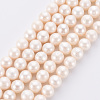 Natural Cultured Freshwater Pearl Beads Strands PEAR-N010-004-2