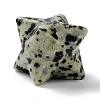 Natural Dalmatian Jasper Sculpture Healing Crystal Merkaba Star Ornament G-C234-02B-3