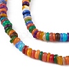 Rainbow Color Natural Freshwater Shell Beads Strands SHEL-M018-08A-3