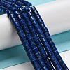 Natural Lapis Lazuli Beads Strands G-C084-A05-01-2