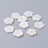 Natural Freshwater Shell Beads X-BSHE-I016-06-1
