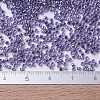 MIYUKI Delica Beads SEED-JP0008-DB0250-5