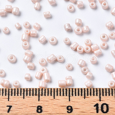 Glass Seed Beads SEED-S060-A-F407-1