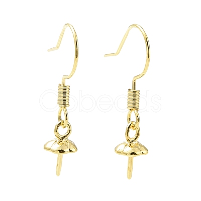 Rack Plating Brass Earring Hooks KK-F839-024B-G-1