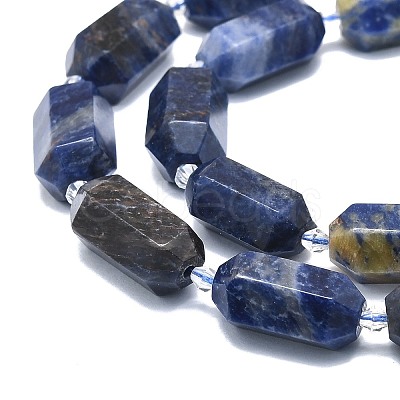 Natural Sodalite Beads Strands G-F715-060-1