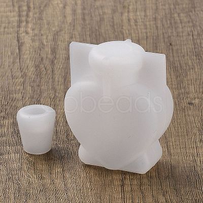 DIY Wishing Bottle Silicone Molds DIY-M049-01A-1