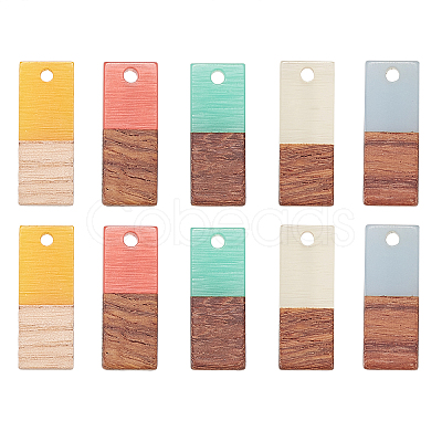 Resin & Wood Pendants RESI-CJ0006-01-1